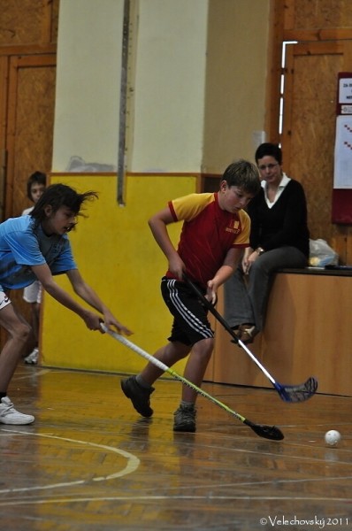 Floorball 2011